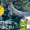 池上本門寺のおすすめお守りはこれ！