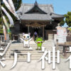 絶景とスピリチュアルなエネルギーの森戸神社！
